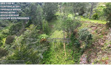 Lote con escrituras al 100% en el santuario ant vereda palmarcito