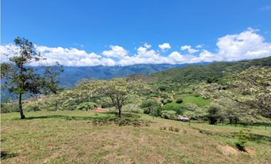 Lote en venta, V. Loma Hermosa, San Jerónimo