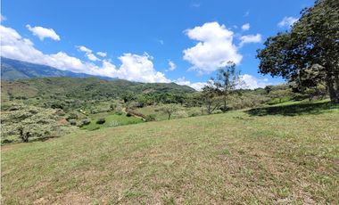Lote en venta, V. Loma Hermosa, San Jerónimo