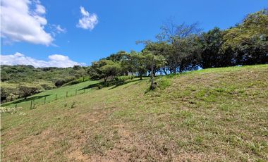 Lote en venta, V. Loma Hermosa, San Jerónimo