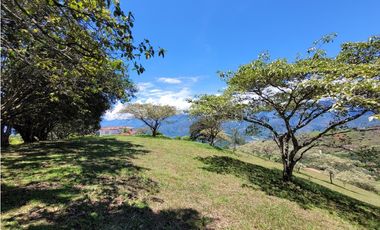 Lote en venta, V. Loma Hermosa, San Jerónimo
