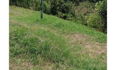 SE VENDE LOTE EN ARABIA TIENE CARRETERA PAVIMENTADA