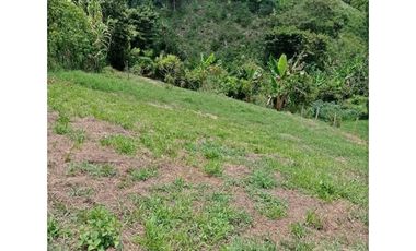 SE VENDE LOTE EN ARABIA TIENE CARRETERA PAVIMENTADA