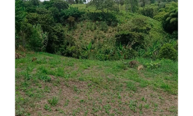 SE VENDE LOTE EN ARABIA TIENE CARRETERA PAVIMENTADA