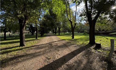 Hermosa chacra de 1,6 has en Brandsen