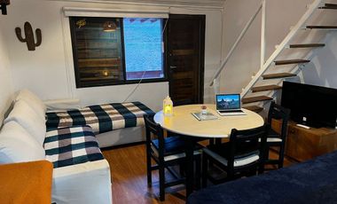 VENTA DEPARTAMENTO LOFT LOS PENITENTES MENDOZA