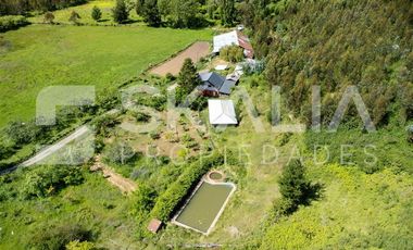 Terreno Construccion en Venta en Distante a solo 2,5 kilometrps de Hualqui.