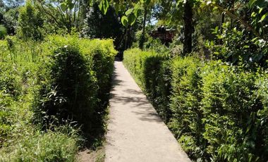 Imperdible oportunidad en Delta del Tigre- PERMUTA
