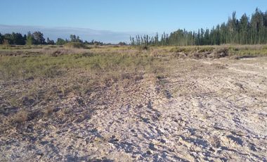 LOTE 500m² CALLE EZEQUIEL TABANERA