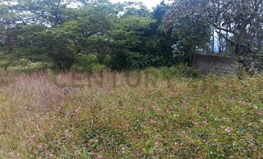 Terreno de Venta