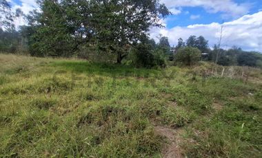 Terreno en venta 3.305 m² sector Nayon