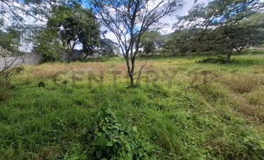 Terreno en venta 3.305 m² sector Nayon