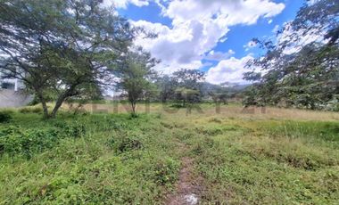 Terreno en venta 3.305 m² sector Nayon