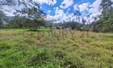 Terreno en venta 3.305 m² sector Nayon