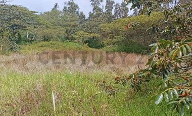 Terreno de Venta