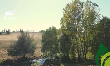 Parcela en venta en COIHUECO