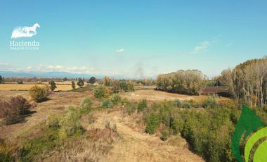 Parcela en venta en COIHUECO