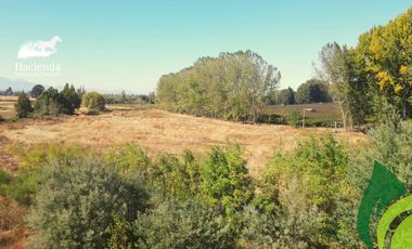 Parcela en venta en COIHUECO