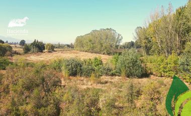Parcela en venta en COIHUECO