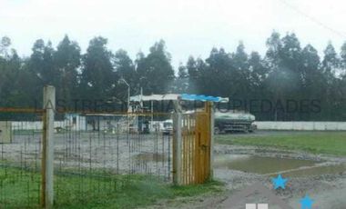 Parcela en venta en ARAUCO