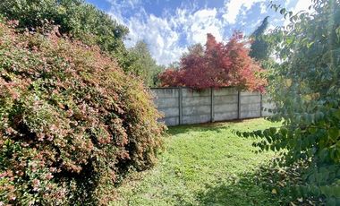 Local Comercial en Arriendo en Lomas de Mirasur, sector Líder Vecino