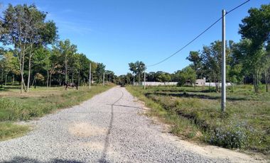 Reventa lote Los Olivos