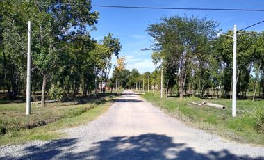 Reventa lote Los Olivos