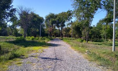 Reventa lote Los Olivos