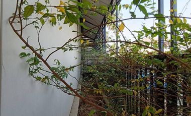 FOR SELL Townhouse/Townhome  Pruksa Ville 99 Phetkasem 91-93  CX-119239