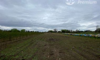 Parcela en Venta en LA QUINTA