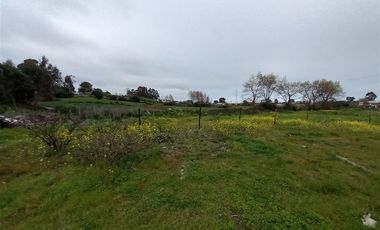 Sitio en Venta en Michaihue