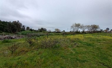 Sitio en Venta en Michaihue