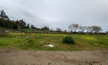 Sitio en Venta en Michaihue