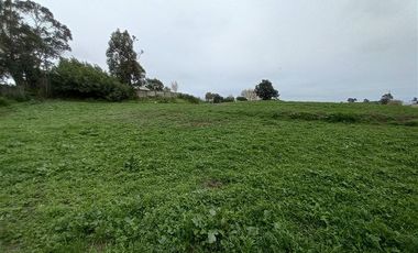 Sitio en Venta en Michaihue