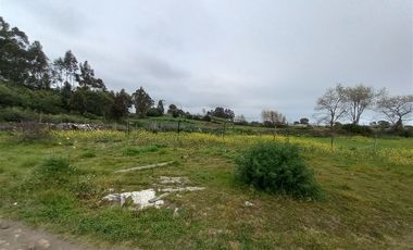 Sitio en Venta en Michaihue