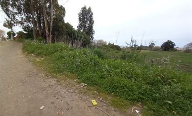 Sitio en Venta en Michaihue