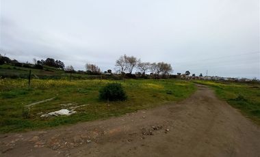 Sitio en Venta en Michaihue