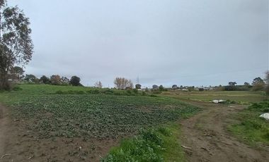 Sitio en Venta en Michaihue
