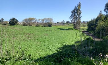 Sitio en Venta en Michaihue