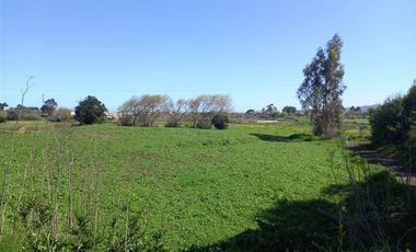 Sitio en Venta en Michaihue