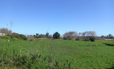 Sitio en Venta en Michaihue