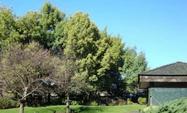 Departamento en Venta en Pedro de Valdivia 1295