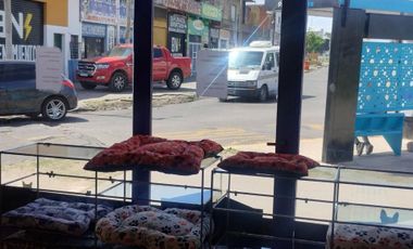 VENTA DE LOTE CON GRAN LOCAL COMERCIAL