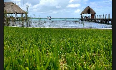 Residencia de Lujo con Frente a Laguna en Bacalar