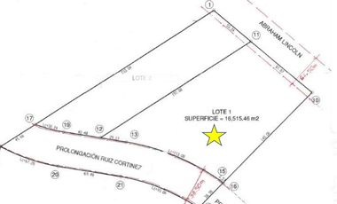TERRENO COMERCIAL EN RENTA EN RUIZ CORTINEZ