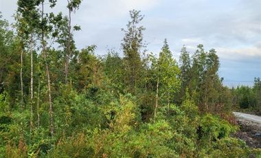 Parcela en Venta en Altos de Lenca