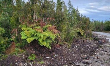 Parcela en Venta en Altos de Lenca