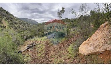 TERRENO DE 10.000 M2 EN HACIENDA PANAMA - Sta Cruz