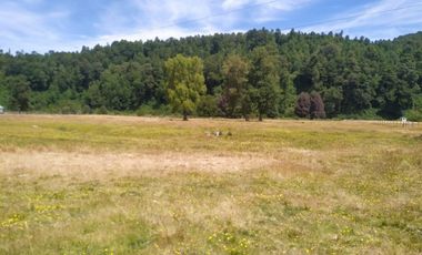 Tu Refugio Natural en Valdivia 26000 m² de Ensueño