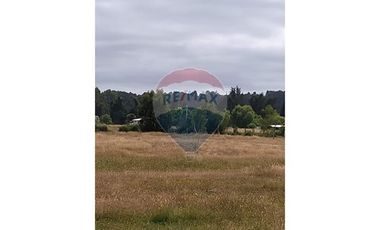 Tu Refugio Natural en Valdivia 26000 m² de Ensueño